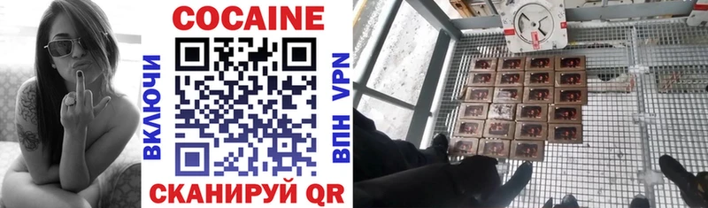 COCAIN Fish Scale Лихославль