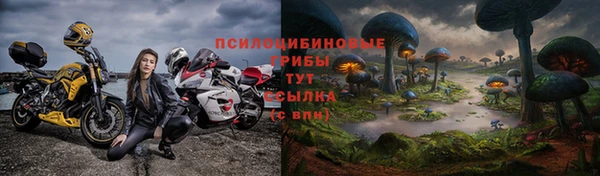 не бодяженный Алзамай