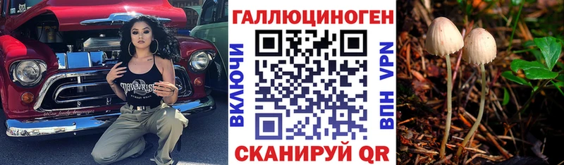 купить наркотик  Лихославль  Галлюциногенные грибы Psilocybine cubensis 